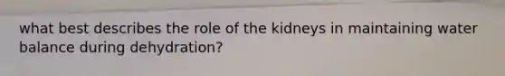 what best describes the role of the kidneys in maintaining water balance during dehydration?