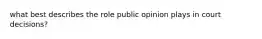 what best describes the role public opinion plays in court decisions?