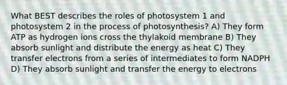 What BEST describes the roles of photosystem 1 and photosystem 2 in the process of photosynthesis? A) They form ATP as hydrogen ions cross the thylakoid membrane B) They absorb sunlight and distribute the energy as heat C) They transfer electrons from a series of intermediates to form NADPH D) They absorb sunlight and transfer the energy to electrons