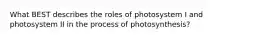 What BEST describes the roles of photosystem I and photosystem II in the process of photosynthesis?