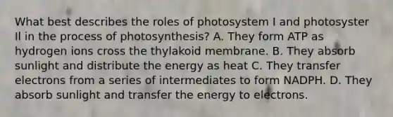 What best describes the roles of photosystem I and photosyster Il in the <a href='https://www.questionai.com/knowledge/kZdL6DGYI4-process-of-photosynthesis' class='anchor-knowledge'>process of photosynthesis</a>? A. They form ATP as hydrogen ions cross the thylakoid membrane. B. They absorb sunlight and distribute the energy as heat C. They transfer electrons from a series of intermediates to form NADPH. D. They absorb sunlight and transfer the energy to electrons.