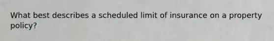 What best describes a scheduled limit of insurance on a property policy?