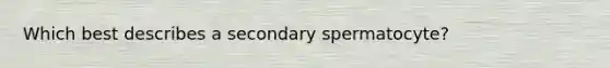 Which best describes a secondary spermatocyte?