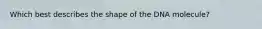 Which best describes the shape of the DNA molecule?