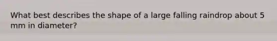 What best describes the shape of a large falling raindrop about 5 mm in diameter?