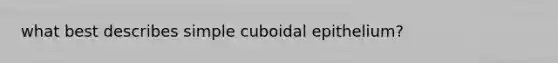 what best describes simple cuboidal epithelium?