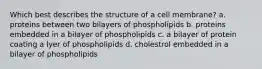 Which best describes the structure of a cell membrane? a. proteins between two bilayers of phospholipids b. proteins embedded in a bilayer of phospholipids c. a bilayer of protein coating a lyer of phospholipids d. cholestrol embedded in a bilayer of phospholipids