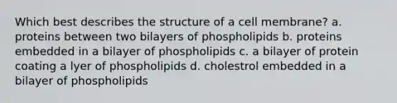 Which best describes the structure of a cell membrane? a. proteins between two bilayers of phospholipids b. proteins embedded in a bilayer of phospholipids c. a bilayer of protein coating a lyer of phospholipids d. cholestrol embedded in a bilayer of phospholipids