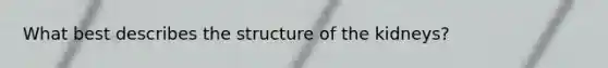 What best describes the structure of the kidneys?