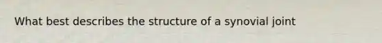 What best describes the structure of a synovial joint