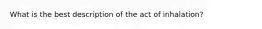 What is the best description of the act of inhalation?