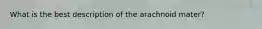 What is the best description of the arachnoid mater?