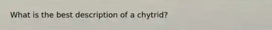 What is the best description of a chytrid?