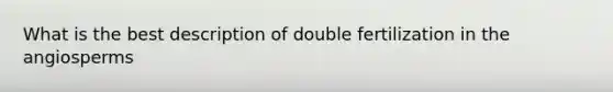 What is the best description of double fertilization in the angiosperms