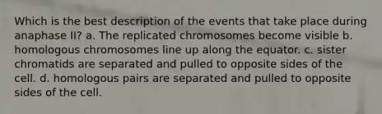 Which is the best description of the events that take place during anaphase II? a. The replicated chromosomes become visible b. homologous chromosomes line up along the equator. c. sister chromatids are separated and pulled to opposite sides of the cell. d. homologous pairs are separated and pulled to opposite sides of the cell.