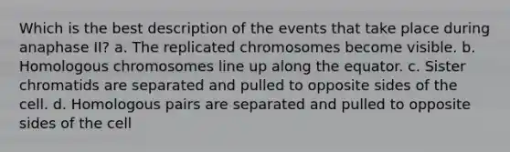 Which is the best description of the events that take place during anaphase II? a. The replicated chromosomes become visible. b. Homologous chromosomes line up along the equator. c. Sister chromatids are separated and pulled to opposite sides of the cell. d. Homologous pairs are separated and pulled to opposite sides of the cell