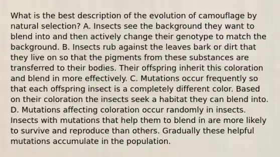 What is the best description of the evolution of camouflage by natural selection? A. Insects see the background they want to blend into and then actively change their genotype to match the background. B. Insects rub against the leaves bark or dirt that they live on so that the pigments from these substances are transferred to their bodies. Their offspring inherit this coloration and blend in more effectively. C. Mutations occur frequently so that each offspring insect is a completely different color. Based on their coloration the insects seek a habitat they can blend into. D. Mutations affecting coloration occur randomly in insects. Insects with mutations that help them to blend in are more likely to survive and reproduce than others. Gradually these helpful mutations accumulate in the population.