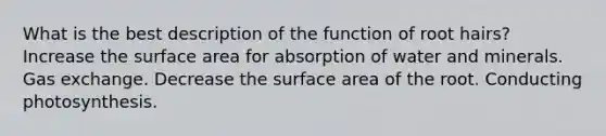 What is the best description of the function of root hairs? Increase the <a href='https://www.questionai.com/knowledge/kEtsSAPENL-surface-area' class='anchor-knowledge'>surface area</a> for absorption of water and minerals. <a href='https://www.questionai.com/knowledge/kU8LNOksTA-gas-exchange' class='anchor-knowledge'>gas exchange</a>. Decrease the surface area of the root. Conducting photosynthesis.