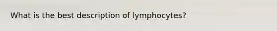 What is the best description of lymphocytes?