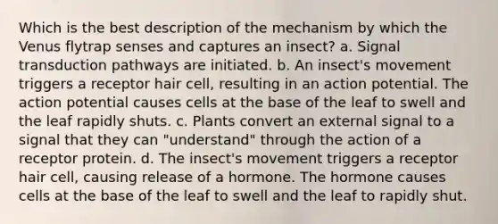 Which is the best description of the mechanism by which the Venus flytrap senses and captures an insect? a. Signal transduction pathways are initiated. b. An insect's movement triggers a receptor hair cell, resulting in an action potential. The action potential causes cells at the base of the leaf to swell and the leaf rapidly shuts. c. Plants convert an external signal to a signal that they can "understand" through the action of a receptor protein. d. The insect's movement triggers a receptor hair cell, causing release of a hormone. The hormone causes cells at the base of the leaf to swell and the leaf to rapidly shut.