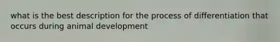 what is the best description for the process of differentiation that occurs during animal development