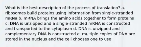 What is the best description of the process of translation? a. ribosomes build proteins using information from single-stranded mRNa b. mRNA brings the <a href='https://www.questionai.com/knowledge/k9gb720LCl-amino-acids' class='anchor-knowledge'>amino acids</a> together to form proteins c. DNA is unzipped and a single-stranded mRNA is constructed and transported to the cytoplasm d. DNA is unzipped and complementary DNA is constructed e. multiple copies of DNA are stored in the nucleus and the cell chooses one to use