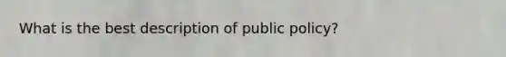 What is the best description of public policy?