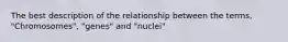 The best description of the relationship between the terms, "Chromosomes", "genes" and "nuclei"