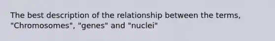 The best description of the relationship between the terms, "Chromosomes", "genes" and "nuclei"