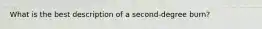 What is the best description of a second-degree burn?