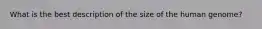 What is the best description of the size of the human genome?