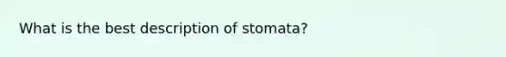 What is the best description of stomata?