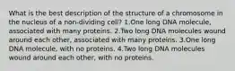 What is the best description of the structure of a chromosome in the nucleus of a non-dividing cell? 1.One long DNA molecule, associated with many proteins. 2.Two long DNA molecules wound around each other, associated with many proteins. 3.One long DNA molecule, with no proteins. 4.Two long DNA molecules wound around each other, with no proteins.