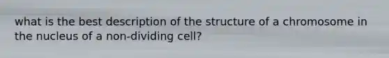 what is the best description of the structure of a chromosome in the nucleus of a non-dividing cell?