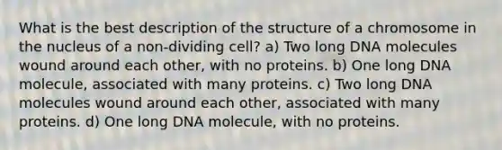 What is the best description of the structure of a chromosome in the nucleus of a non-dividing cell? a) Two long DNA molecules wound around each other, with no proteins. b) One long DNA molecule, associated with many proteins. c) Two long DNA molecules wound around each other, associated with many proteins. d) One long DNA molecule, with no proteins.