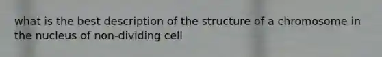 what is the best description of the structure of a chromosome in the nucleus of non-dividing cell