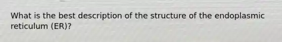 What is the best description of the structure of the endoplasmic reticulum (ER)?