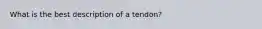 What is the best description of a​ tendon?