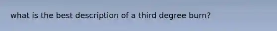 what is the best description of a third degree burn?