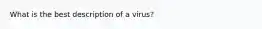 What is the best description of a virus?