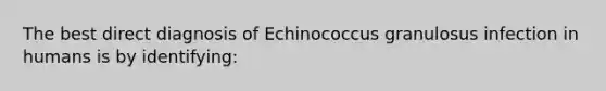 The best direct diagnosis of Echinococcus granulosus infection in humans is by identifying: