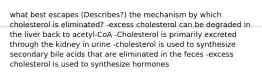 what best escapes (Describes?) the mechanism by which cholesterol is eliminated? -excess cholesterol can be degraded in the liver back to acetyl-CoA -Cholesterol is primarily excreted through the kidney in urine -cholesterol is used to synthesize secondary bile acids that are eliminated in the feces -excess cholesterol is used to synthesize hormones