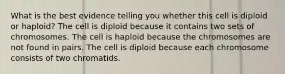 What is the best evidence telling you whether this cell is diploid or haploid? The cell is diploid because it contains two sets of chromosomes. The cell is haploid because the chromosomes are not found in pairs. The cell is diploid because each chromosome consists of two chromatids.