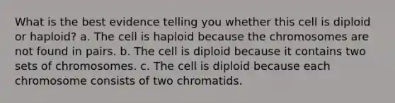 What is the best evidence telling you whether this cell is diploid or haploid? a. The cell is haploid because the chromosomes are not found in pairs. b. The cell is diploid because it contains two sets of chromosomes. c. The cell is diploid because each chromosome consists of two chromatids.