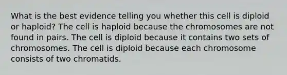 What is the best evidence telling you whether this cell is diploid or haploid? The cell is haploid because the chromosomes are not found in pairs. The cell is diploid because it contains two sets of chromosomes. The cell is diploid because each chromosome consists of two chromatids.