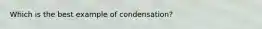 Which is the best example of condensation?