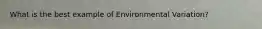 What is the best example of Environmental Variation?