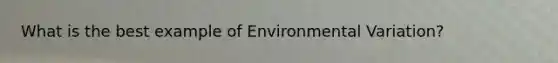 What is the best example of Environmental Variation?