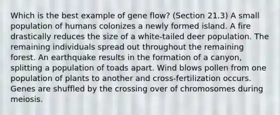 Which is the best example of gene flow? (Section 21.3) A small population of humans colonizes a newly formed island. A fire drastically reduces the size of a white-tailed deer population. The remaining individuals spread out throughout the remaining forest. An earthquake results in the formation of a canyon, splitting a population of toads apart. Wind blows pollen from one population of plants to another and cross-fertilization occurs. Genes are shuffled by the crossing over of chromosomes during meiosis.