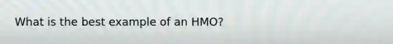 What is the best example of an HMO?